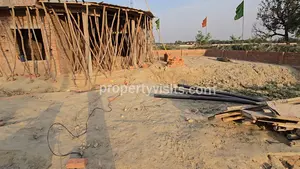Image2