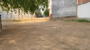 Image1
