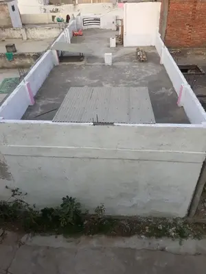 Back side