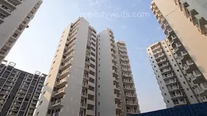 urban wood